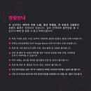 복싱파이터