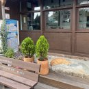 동광로7길 62-12 | 군산 여행, 군산숙소 , 이성당, 초원사진관근처, 군산포토존, 군산에어비앤비, 군산월명주택,