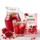 토토원 이미지
