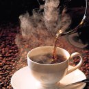 커피에 대한 100가지 토막상식 이미지