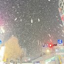 오구본가오천1호점 | 귤에 붙은 건 귤락 나한테 붙은 거, 나락