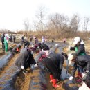 오산농장2 이미지