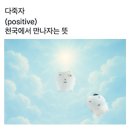 지비공방 | 갑자기 로진단이 된 사람의 일상 모음 zip.. 🌹💍