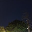 달빛정원 이미지