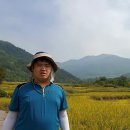 용봉1리마을회관 이미지