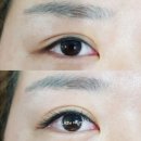 오래쉬(OLASH)