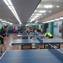 힐링탁구 이미지