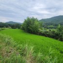 노곡리마을회관 이미지