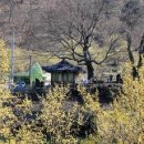 개간지천 이미지