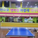 광산탁구회관