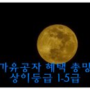 위드유 행정사 사무소 네이버블로그