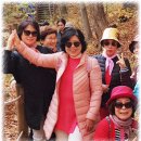 🧚‍♀️ 11월 걷기모임＜용문산＞ 이미지