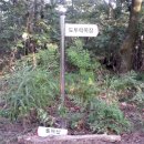 대송면 홍계숲 이미지