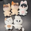 재현 도영 인형 양도(치즈잰 뽀잉또 솜땀 하또 재뽀삐 도뽀삐) 이미지