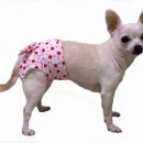 해담은동물병원 이미지