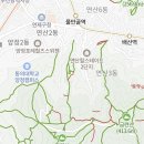 세븐일레븐 망미점 네이버블로그