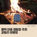 평택 안중 갈릴리 캠핑장 애견동반 가능 야영장 후기