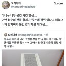 컴수리 Daum카페