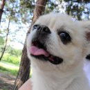 주식회사 시아랩 이미지