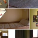 폴레폴레 이미지