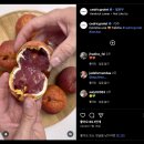 배그롤 | Cedric Grolet)" 베이커리를 싱가포르에서 만나다 | 크로아상, 빵오 쇼콜라, 바닐라 플라워 타르트 후기