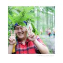 제167회 여행걷기 (2014년7월13일) 전남장성 축령산 편백나무 치유의숲.. #02 이미지