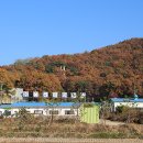 큰바위 Daum카페