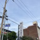 제주 고등어회 딱새우 같이 먹기 애월 내돈내산 | 고등어회결사