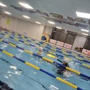 망고키즈수영장 해운대점 이미지