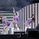 플로드림 이미지