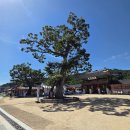 화성행궁 | 수원 도심속 고궁여행, 팔달산 화성행궁 방문 후기