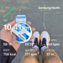 하마그룹 | 뒤늦은 서하마 10k 후기