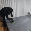 맨마루매트리스;소파;카페트
