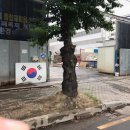 상호직업소개소 이미지