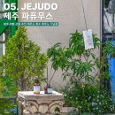 솜누스 | 제주 여행 선물 추천 제주도 향수 제주도 기념품 가격