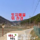 신금공인중개사사무소 이미지