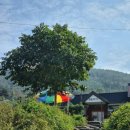 쪽빛언덕 | 사천 박서진길 한정식 맛집 쪽빛언덕 영양돌솥밥