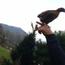 관상농장 이미지