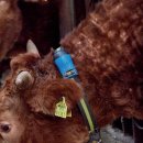 서우 농장 이미지