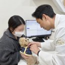 수영구 남천동 동물병원 켁켁 소리, 그저 재채기가 아닙니다.