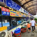 사강로, 송산포도로 이미지