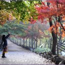 입곡군립공원(산림욕장) 이미지