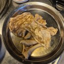 원조꼬리치는돼지 이미지