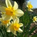 가신원통길 이미지