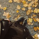 (주)알푸스 이미지