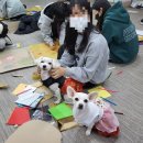 군산남중학교 이미지