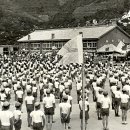 감포초등학교 이미지