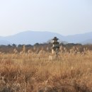 구황동 티스토리