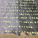 국대농장 이미지