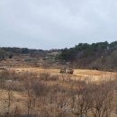 중구 십리대밭 축구장 울산매일UTV